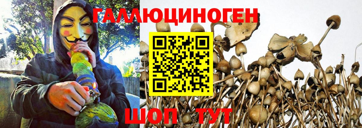 Красногорск  Галлюциногенные грибы Cubensis  Псилоцибиновые грибы Psilocybe  Вход с VPN 